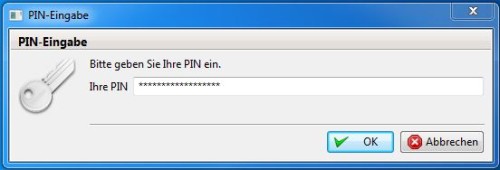 Banking Pin Eingabe